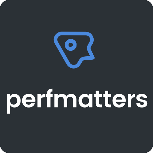 افزونه افزایش سرعت سایت Perfmatters